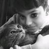 nilufar.jalilova._