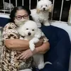 judithpereira257