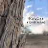 esraa_khaled276