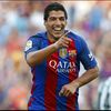 suarezismygoat