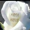 adwardo3abougabal