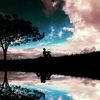 hendmohamed4972