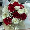 prin__cesse41
