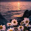 sherri628