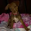 yocolvia