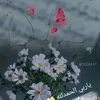 user8169215962201