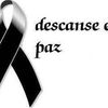 lupigonzalez331