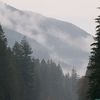 deep.into.the.forest757
