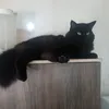 demauryyy_