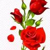 user541512148066