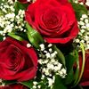 jahid67479