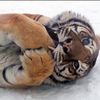 vamplover0