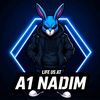 a1nadim