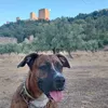 jositojaen39