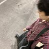 lilschoolboysg