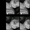 lipaaamut