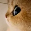_mrkjj