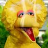 8ballbigbird