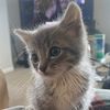 babypooklol