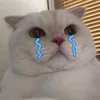 kkz3024