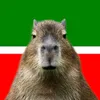 vortencapybaras
