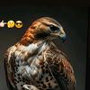 md.salimreza004