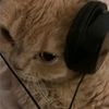 bextiehaha2