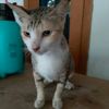 ardi_9901