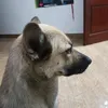 .khanhdeptraivaicalo