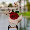 user9645910862280