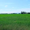 rahmatmatt88