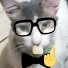 frank_1478