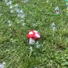 mushroomperson.0