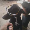 baianrjcg