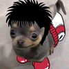 jossetr.n