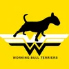 WorkingBullTerriersKennel