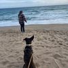 goodbitesgoodhikes