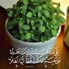 mahmoudshaat68