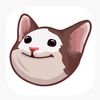 sirmeow127