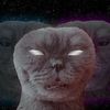 elder_userl._.l