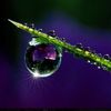 mnoor_04