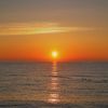 fish_0705
