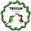 toucan_teach