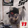 tyler_and_f1fan