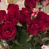 loome_6