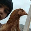 andy.requena1