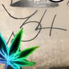 t.u.k.i.f.f...luiaa34