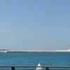 tahernur
