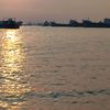 dorukchowdhury