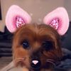 natashaismyactualgf
